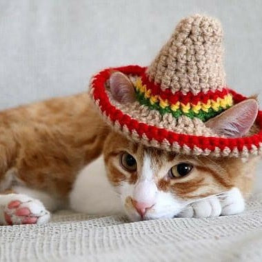 Crochet Cap For Cat Crochet Cute Cat Hat - Main Image