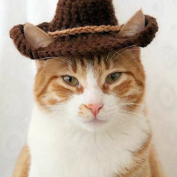 Crochet Cute Cat Hat