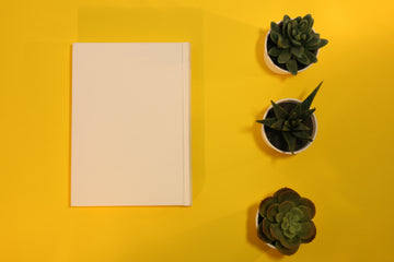 White Classic Notebook
