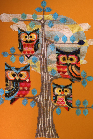 Silver Frame with Shiny Owls Style Drawing