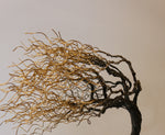 Unique Wind Swept Wire Tree Sculpture