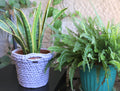 Handmade Indoor Plant Pot Cover