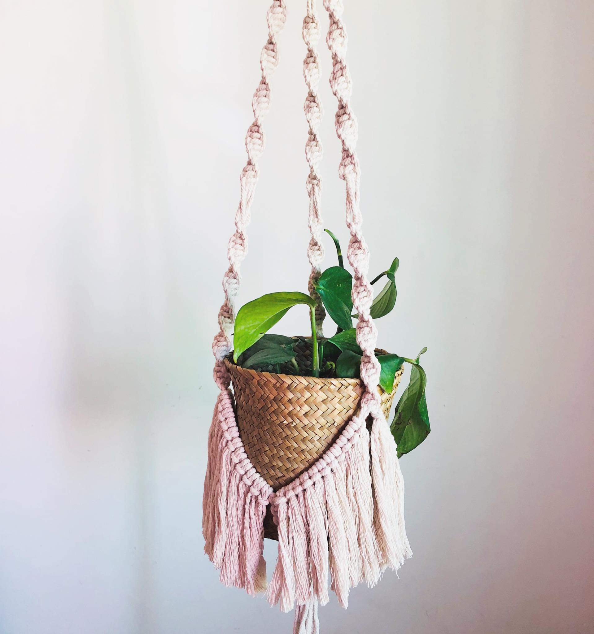fringe macrame plant hanger Garden Macrame Plant Hanger