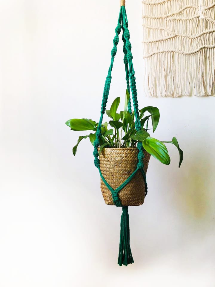 green macrame plant hanger Garden Macrame Plant Hanger
