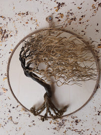 Unique Stunning Wire Tree Sculpture