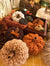 Pumpkins Autumn Decoration