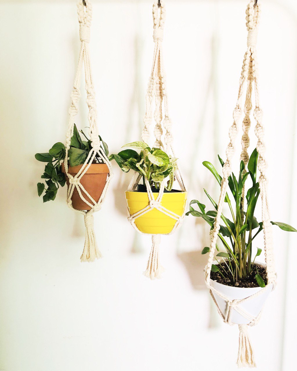 no tassel macrame plant hanger Macrame Plant Hangers