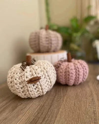 Pumpkins Autumn Decoration